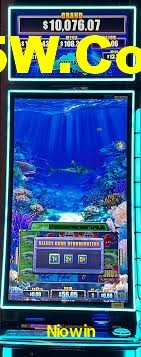 Live Casino Niowin